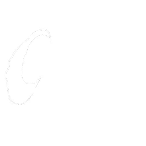 Illustration schüttelnder Hände, symbolisiert langjährige Erfahrung und Vertrauen