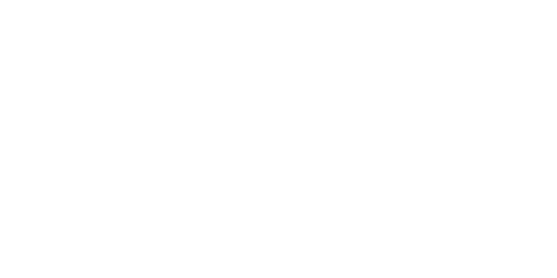 Gustav Koch